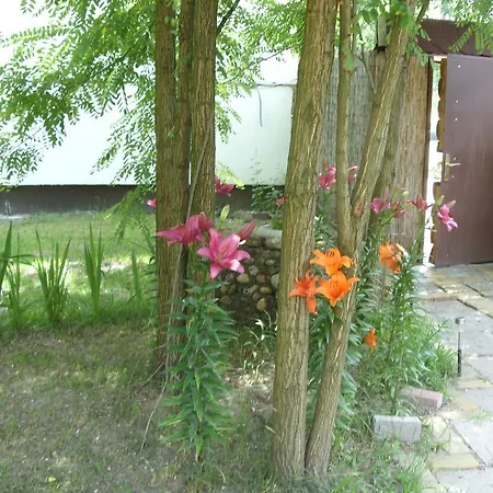 Ferienhaus Bodza