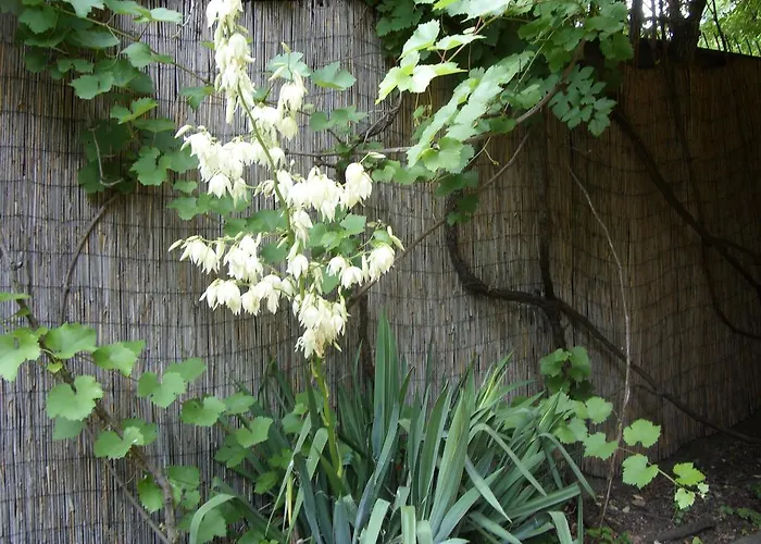 Vakantiehuis Bodza Tompa