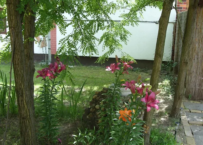 Vakantiehuis Bodza *