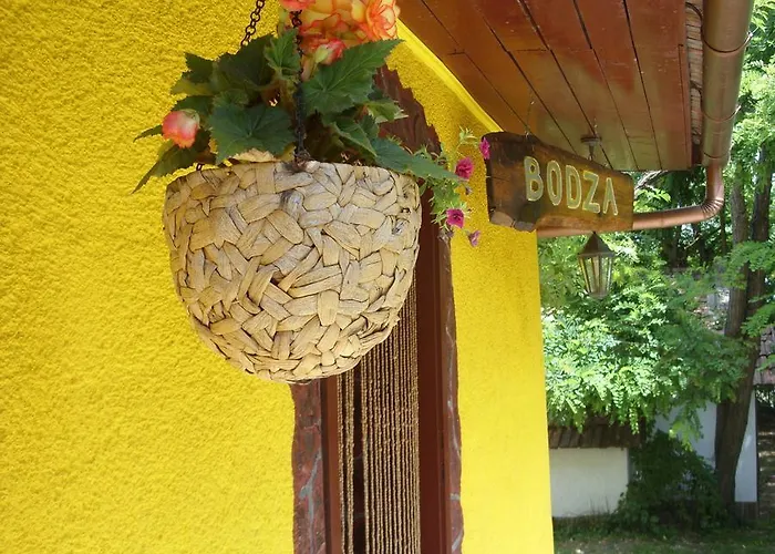 Vakantiehuis Bodza *